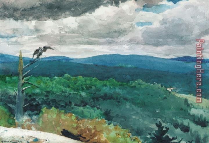 Winslow Homer Hilly Landscape